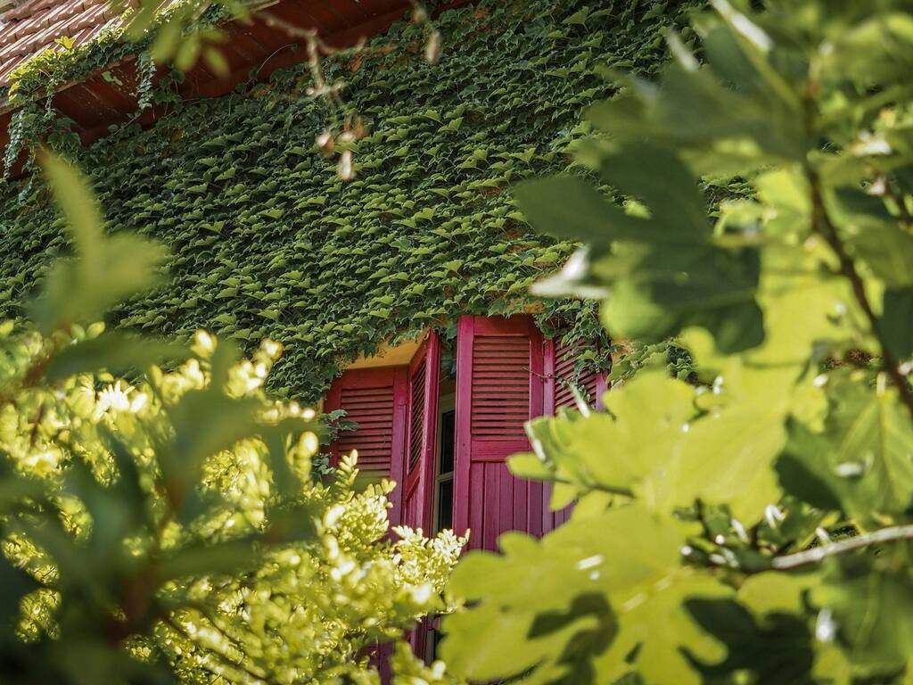 Maison provençale, photo d'illustration