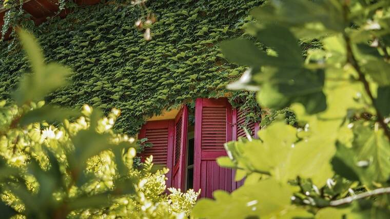 Maison provençale, photo d'illustration